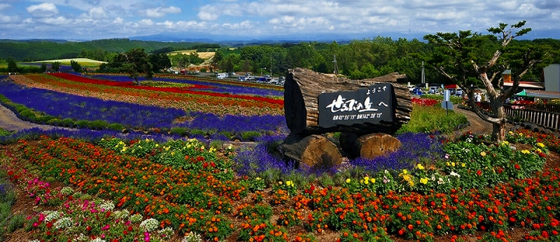 ぜるぶの丘 全景